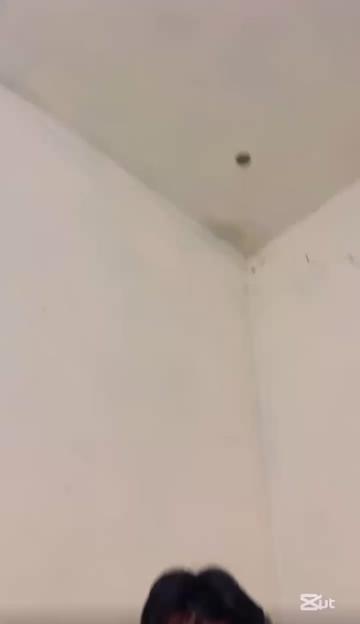 @mustafajamal905