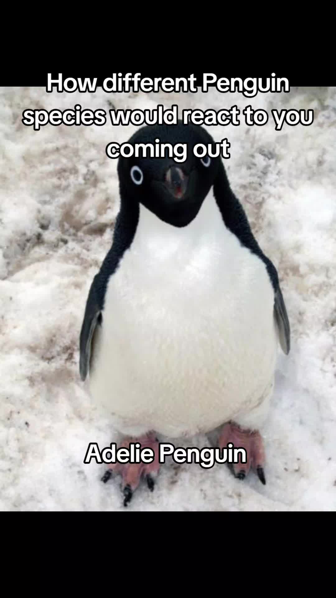 @Mumble but 𝓯𝓻𝓮𝓪𝓴𝔂