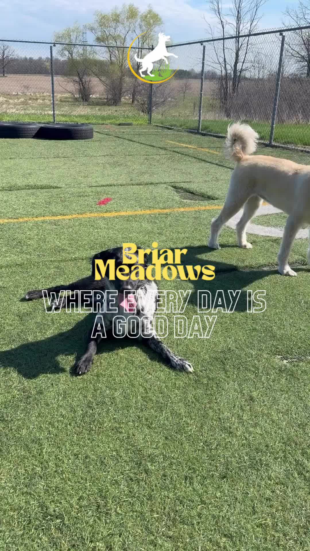 @briar.meadows
