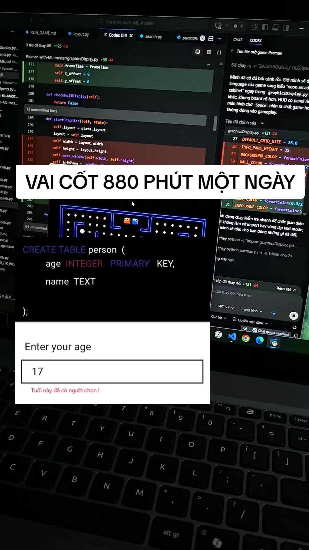 @Bin 😼