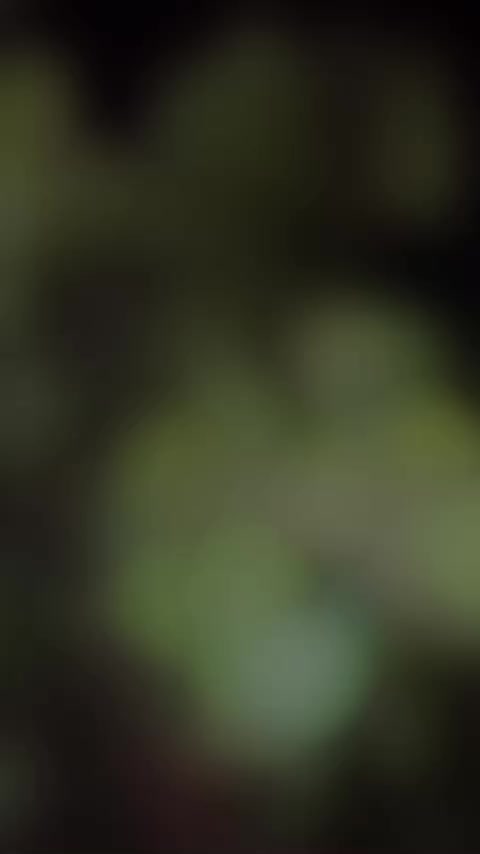 @Dawood mehar