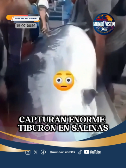 @MundoVision365