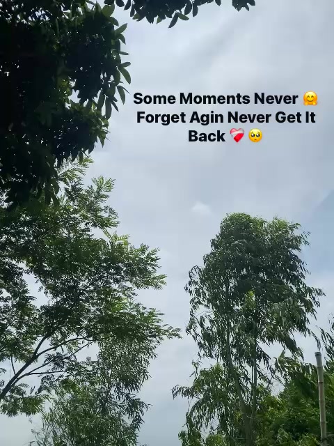 @โจ๊ซ๊ช๐ด๐ด๐ฒแฅ ๐ธ