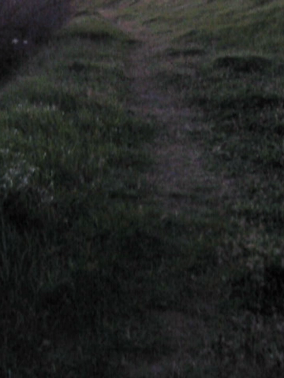 @viaje a ninguna parte