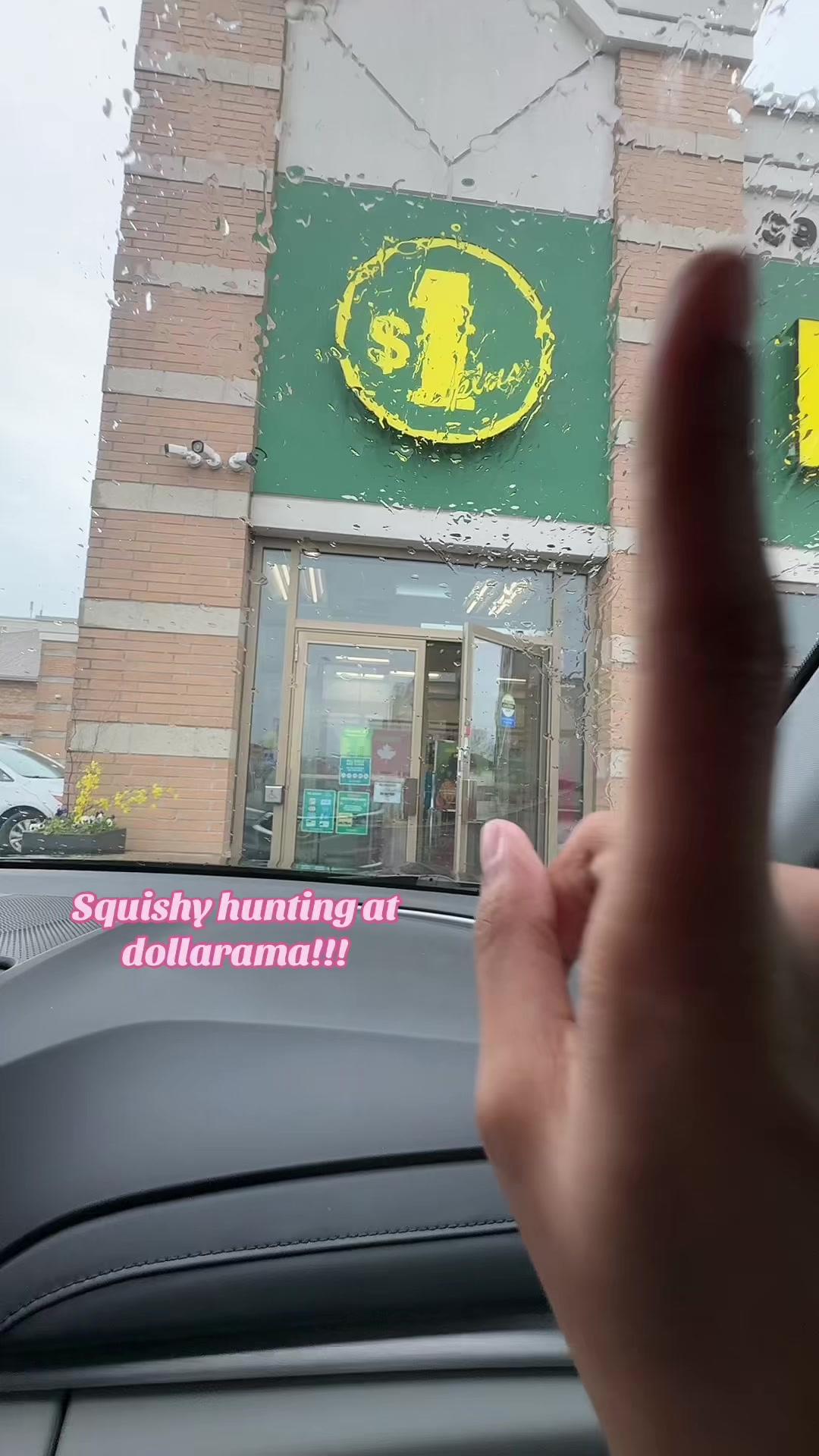@Squishys!