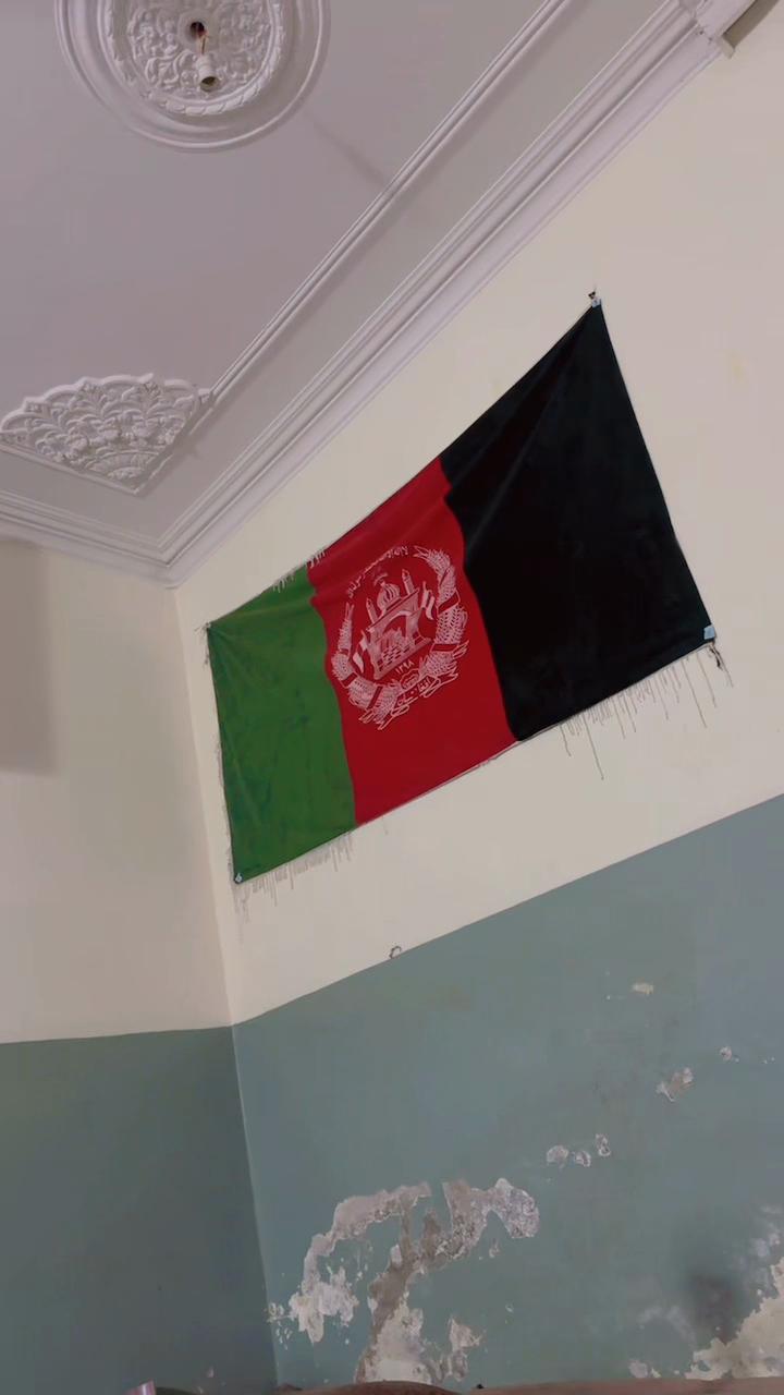 @Shinwari 🇦🇫
