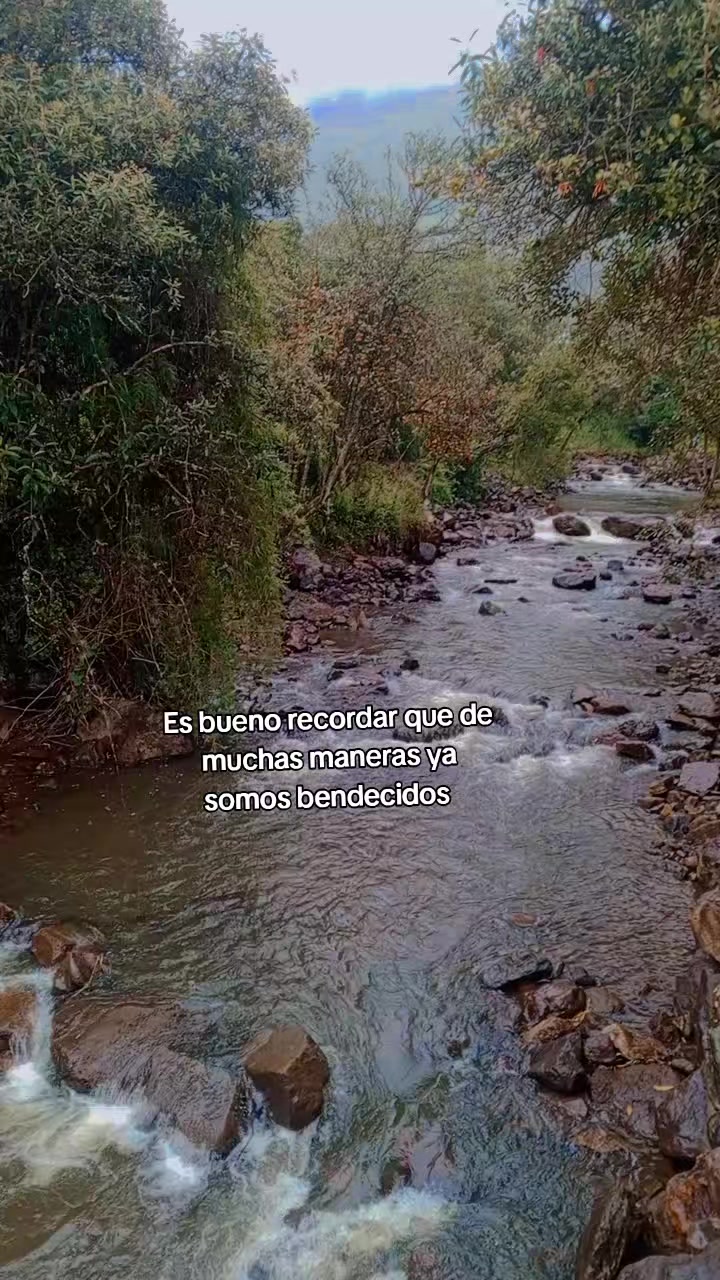 @Crisseli
