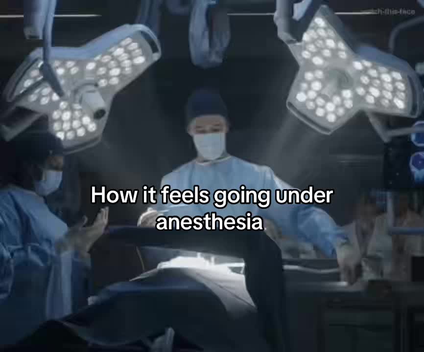 @𓆉★