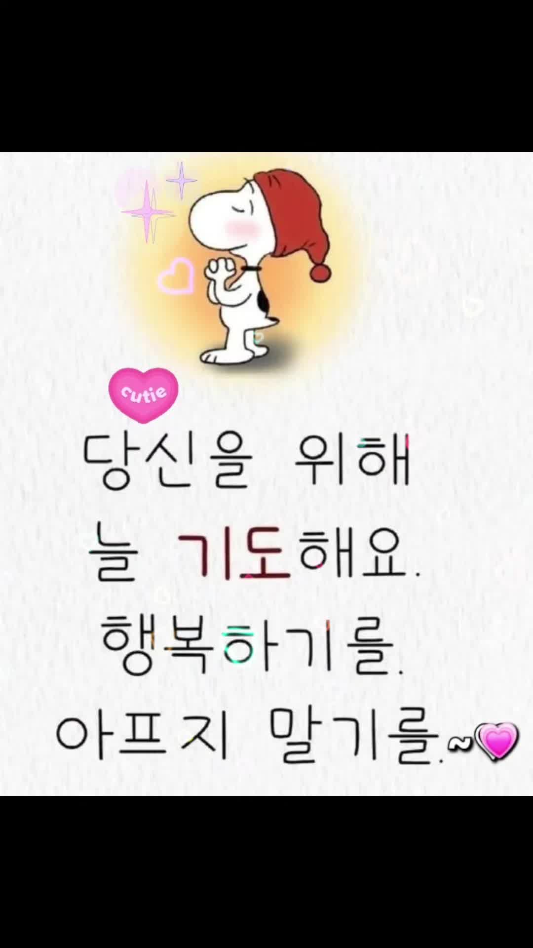 @안선희 (서울)