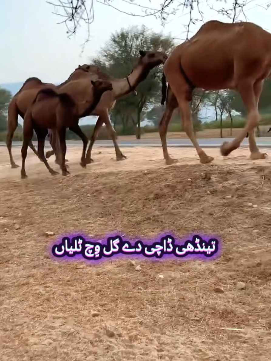 @Loveplusnature
