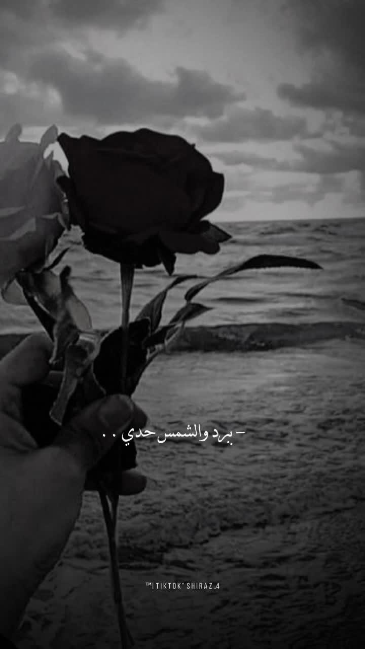 @حمصية 🦋