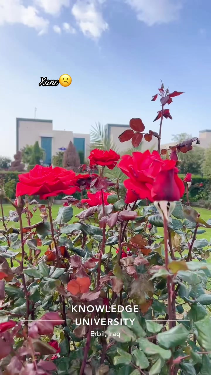 @Nr.kazhe🩺💉