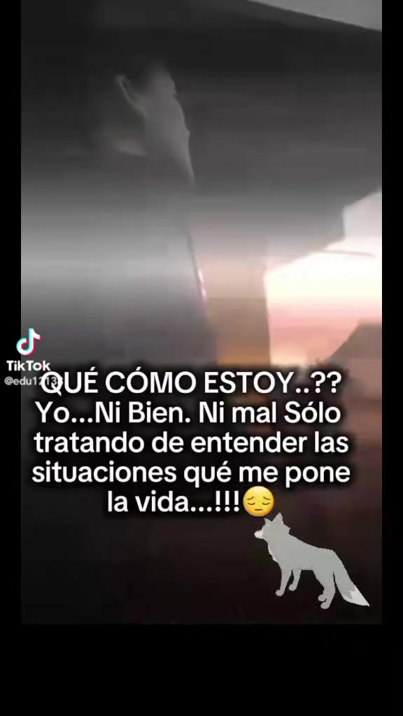 @Lorenza Francisco