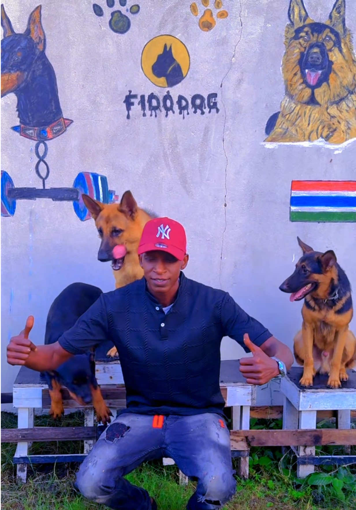 @Dog Master