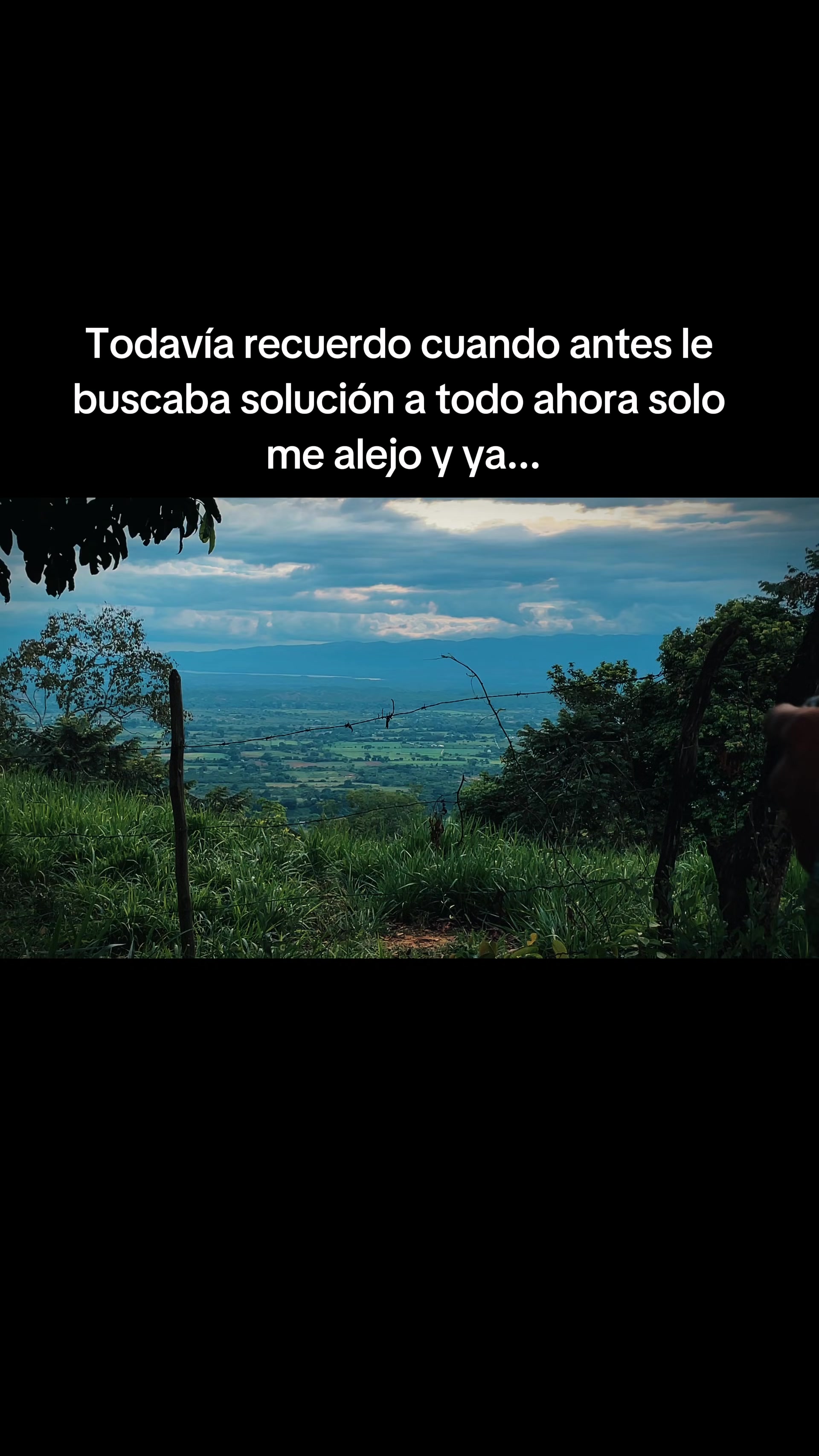 @El-Comis El Rey de la Realidad