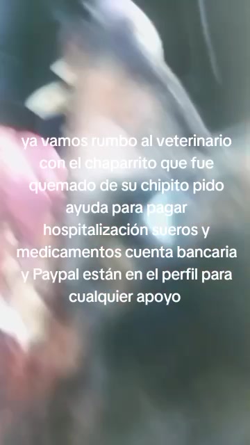 @Rescateyrefugio2