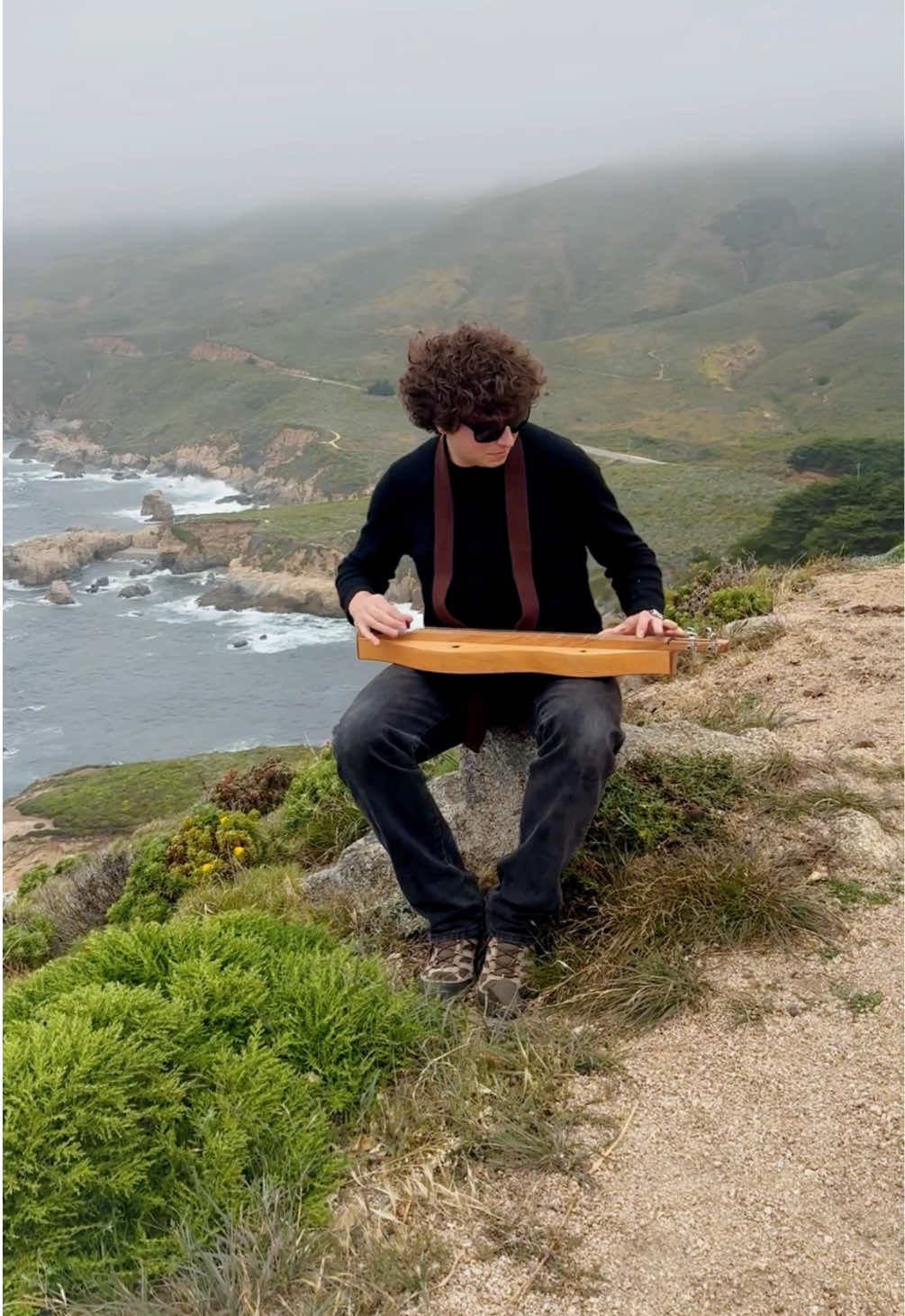 @sunflowerbeanband