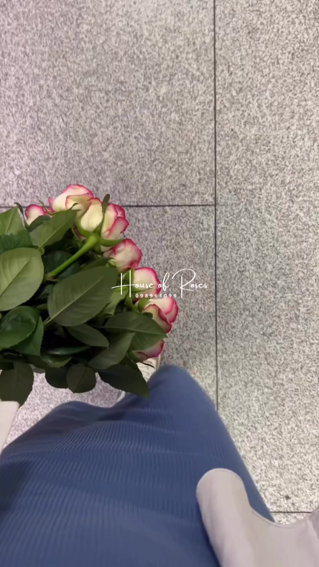 @Թարմ Վարդեր 🌹
