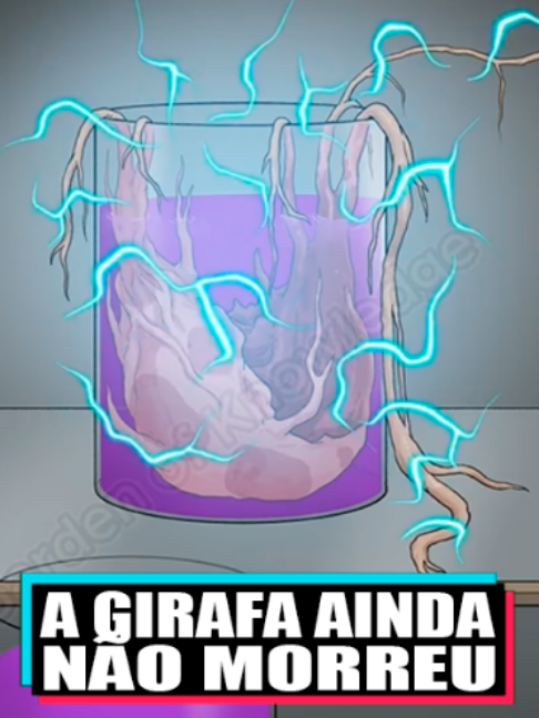 @sombrioecurioso