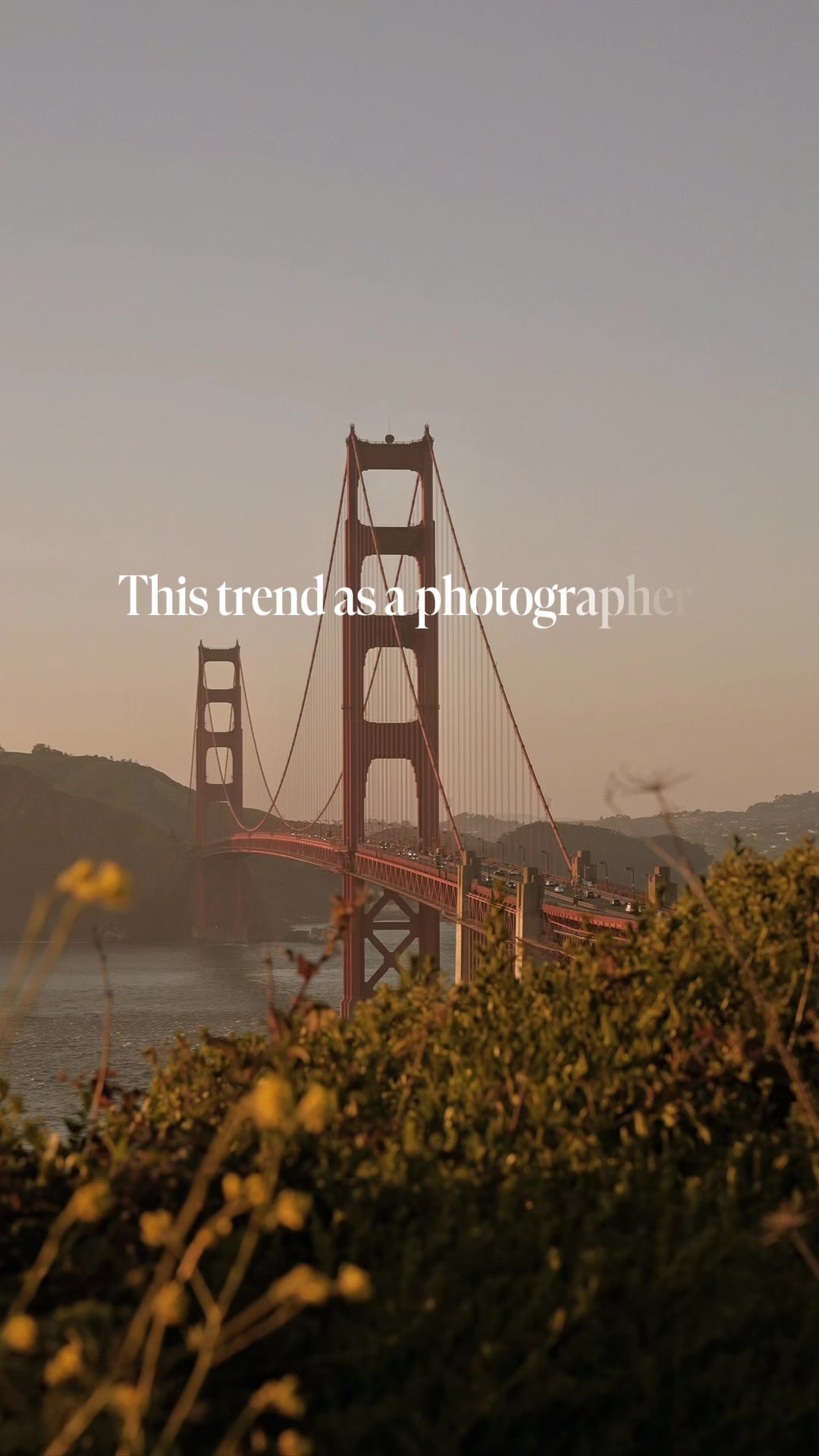 @SF Bay Area Photographer