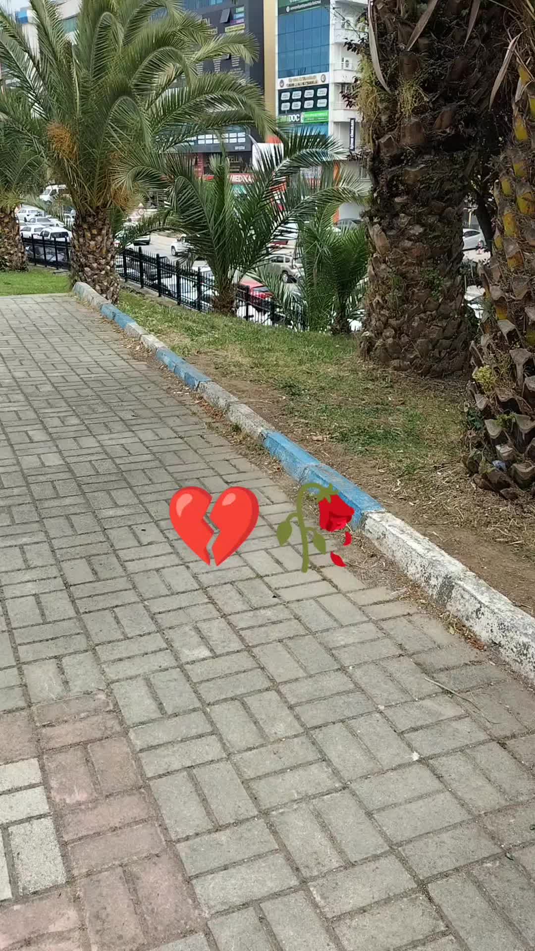 @papatya_65