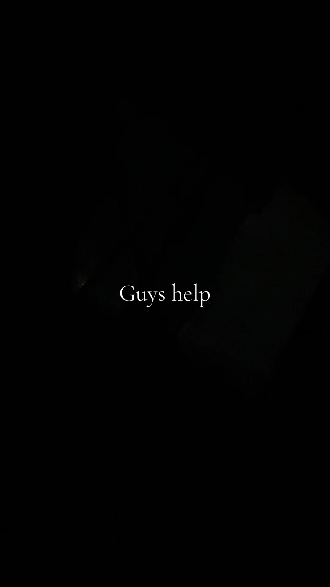 @My pet Polygon c: