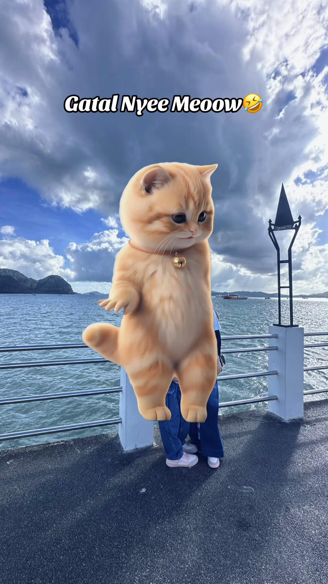@๐โ๐ฆ๐ฅ๐๐ฃ๐ ๐ด๐ผ๐ผ๐ฐ๐๐