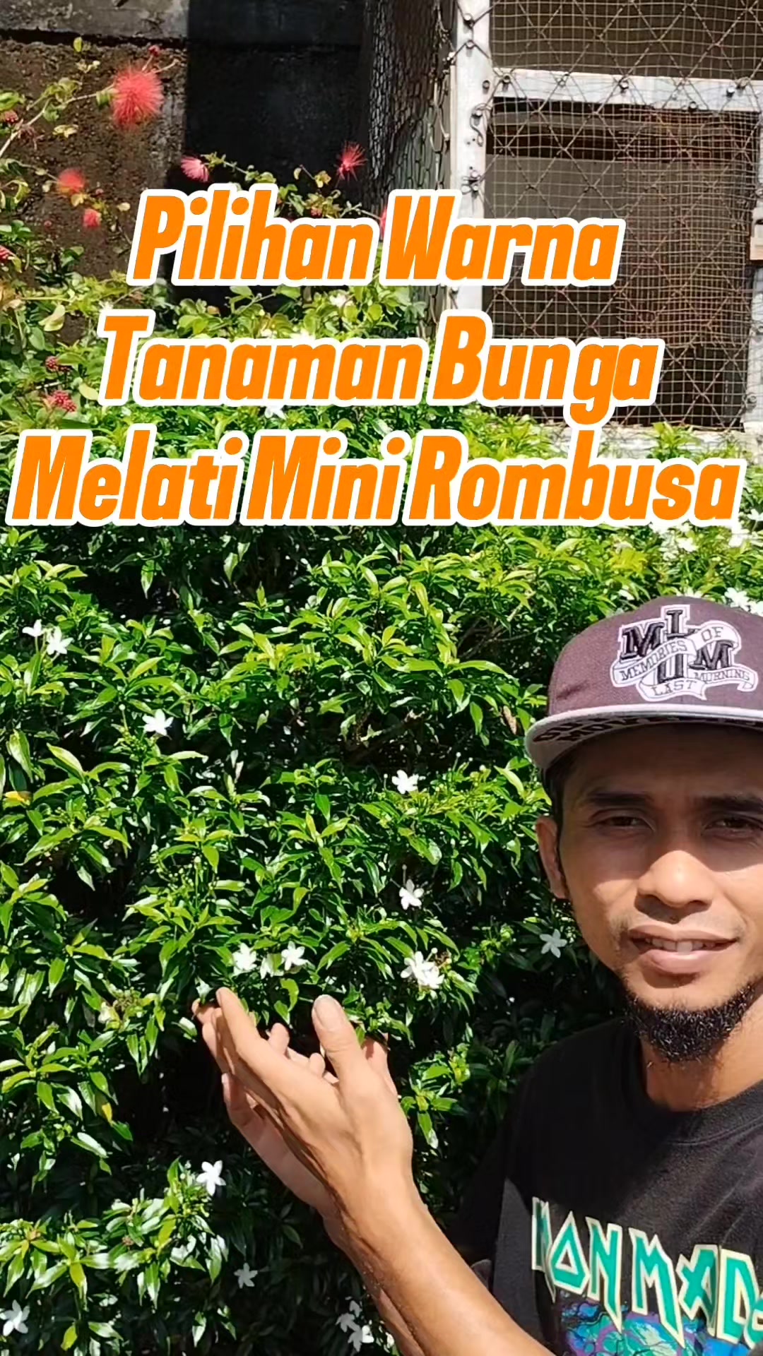 @Bukit Farming