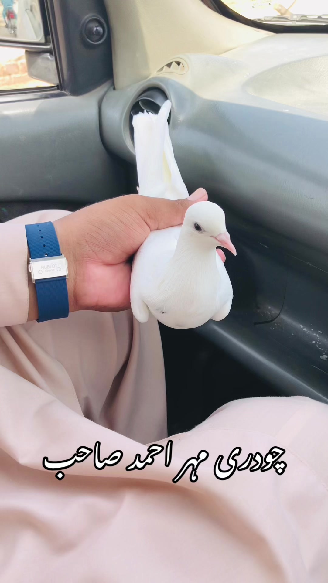@⚜️چودری مہر احمد صاحب⚜️