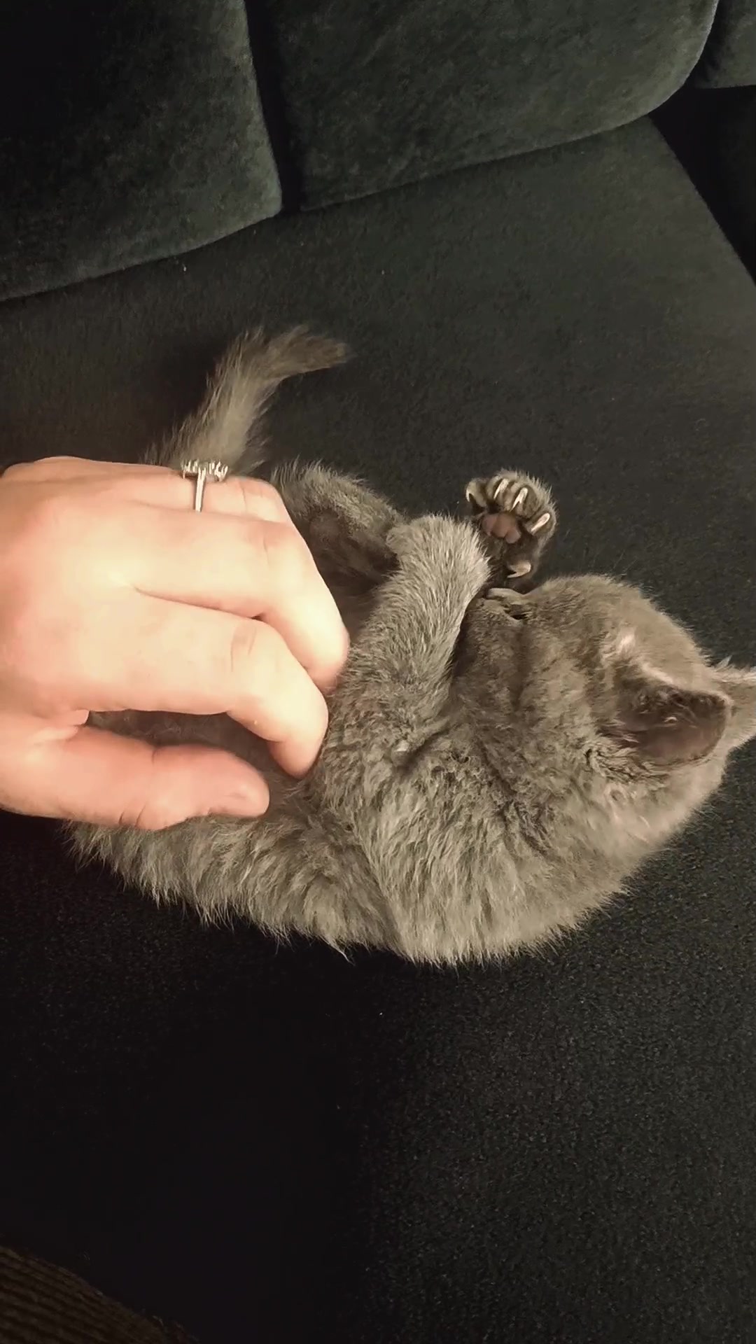 @MiyaAa 🐾