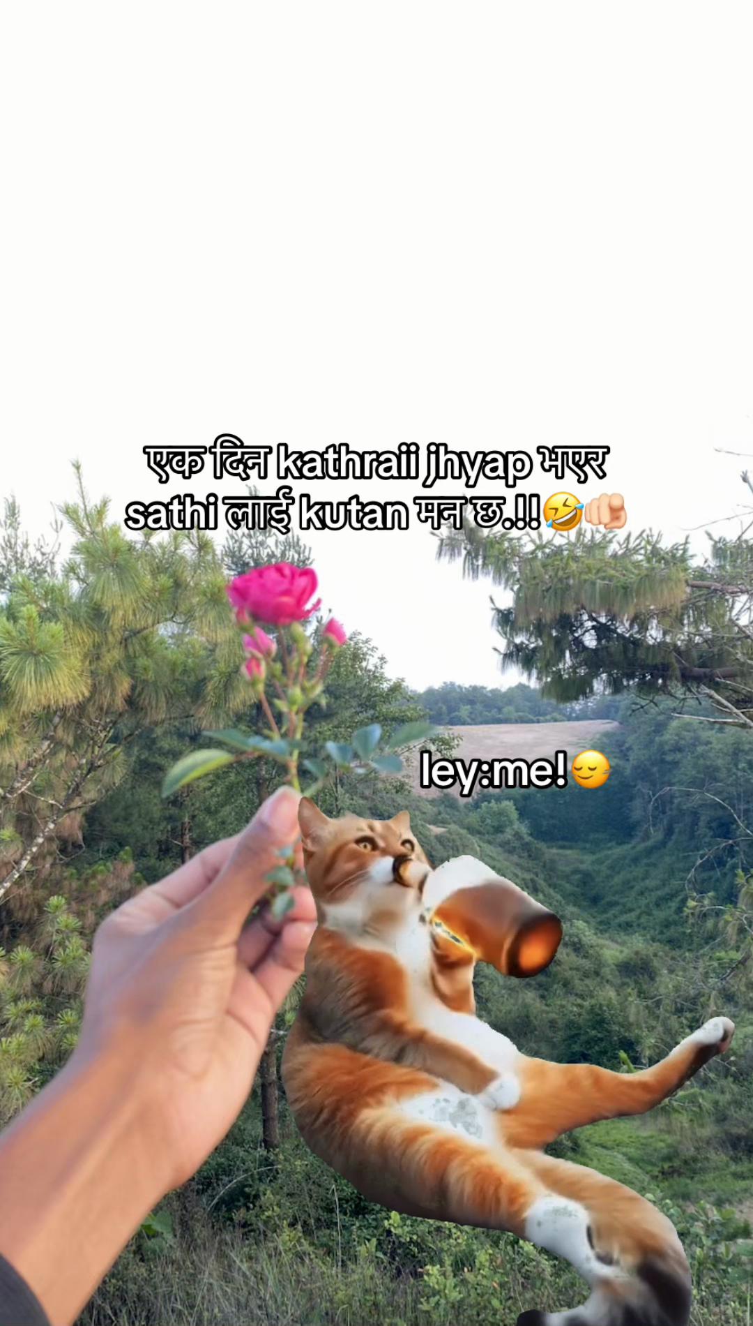 @Dᴇᴇᴘᴀᴋ