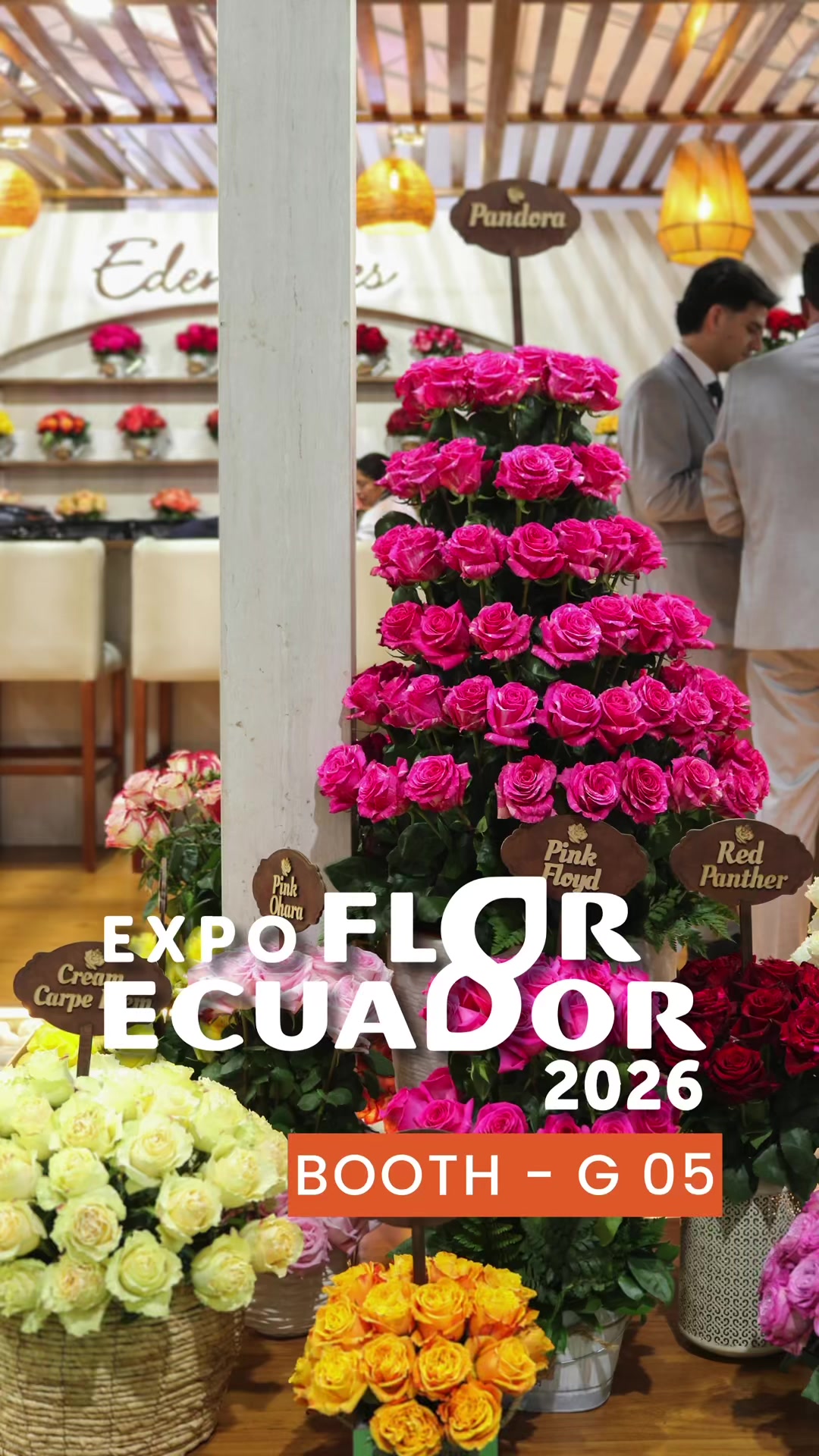 @Eden Roses