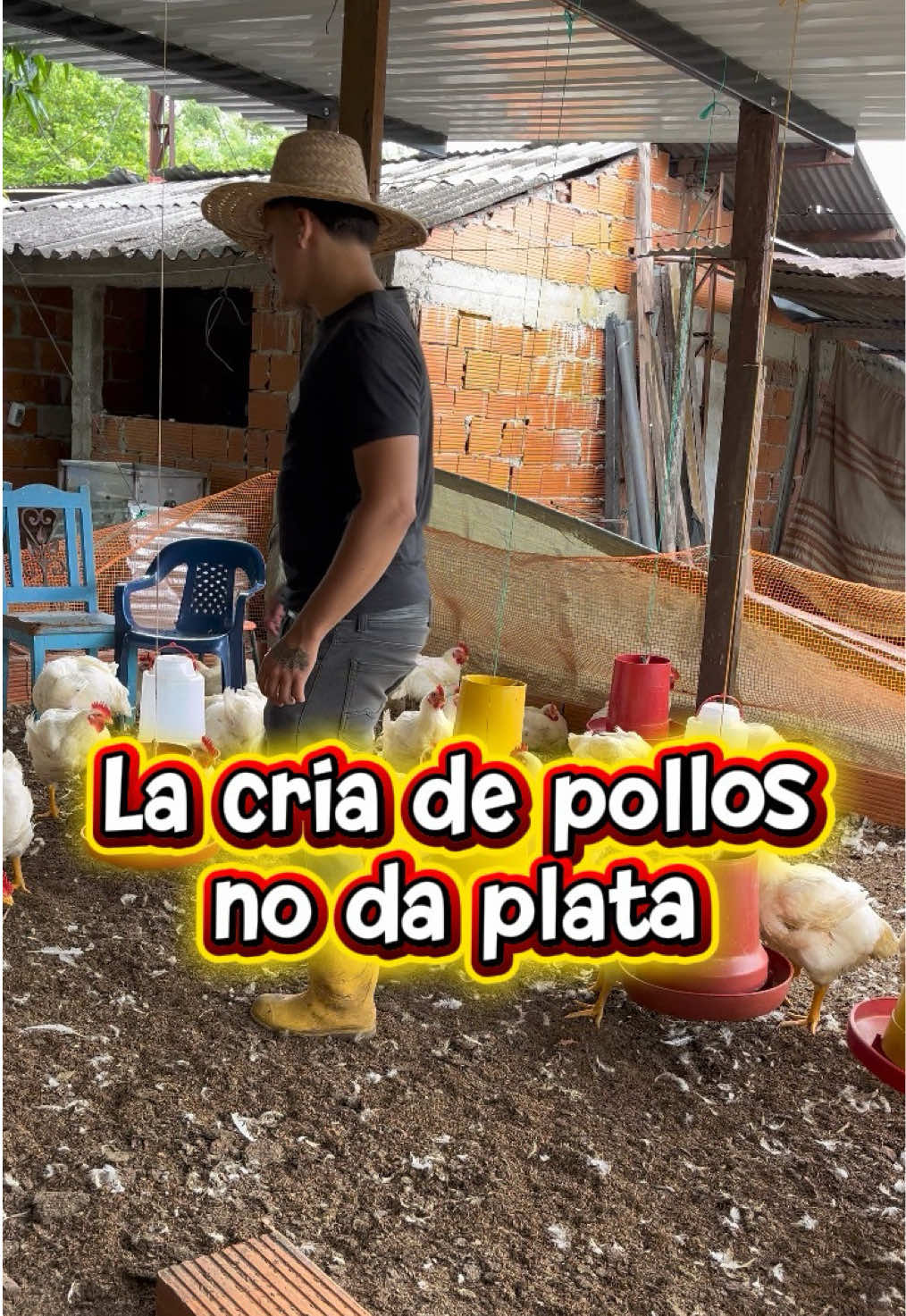 @elmagnatedelospollos