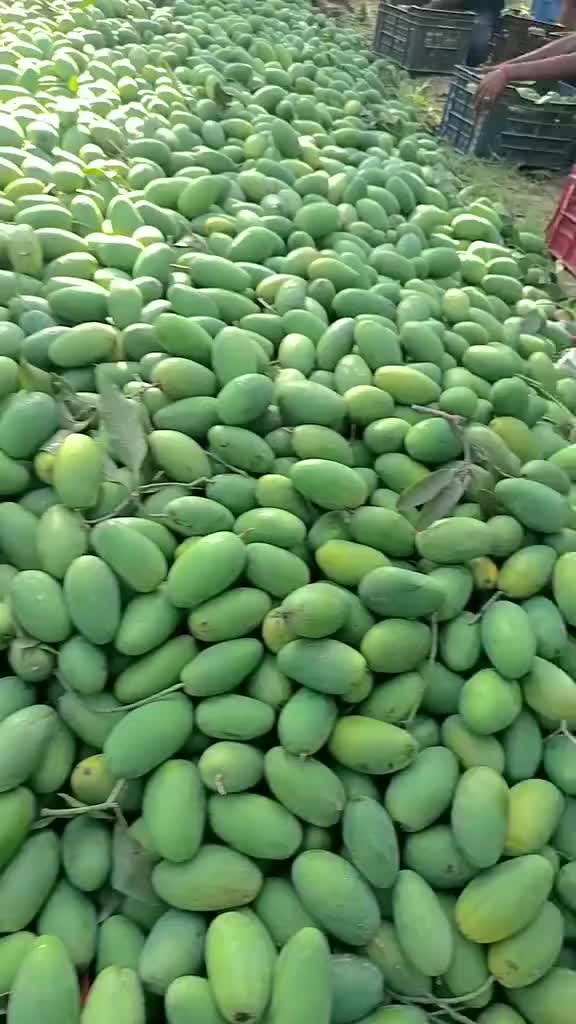 @𝐁𝐈𝐒𝐇𝐍𝐔 𝐃𝐄𝐕