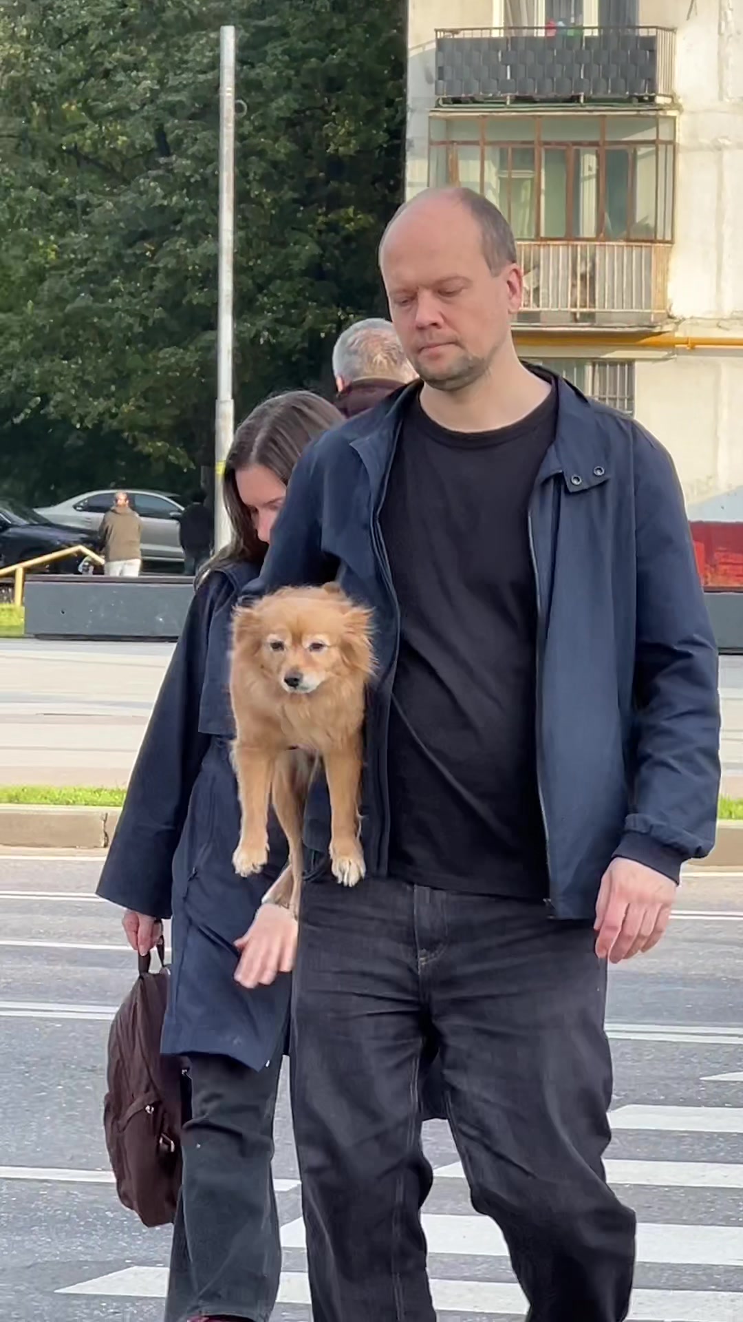 @дима яндекс&reg;️