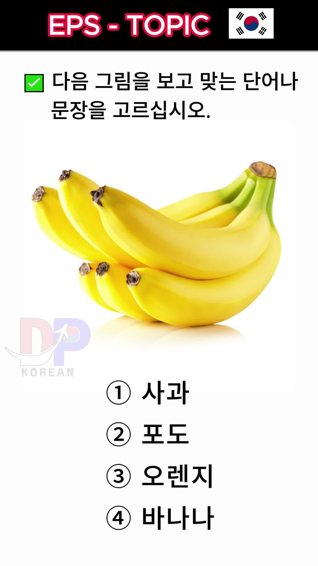 @DP korean