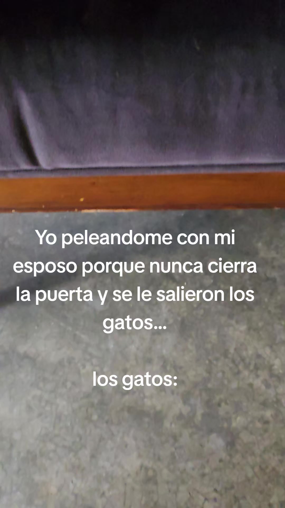 @GELA MARTINEZ✨️