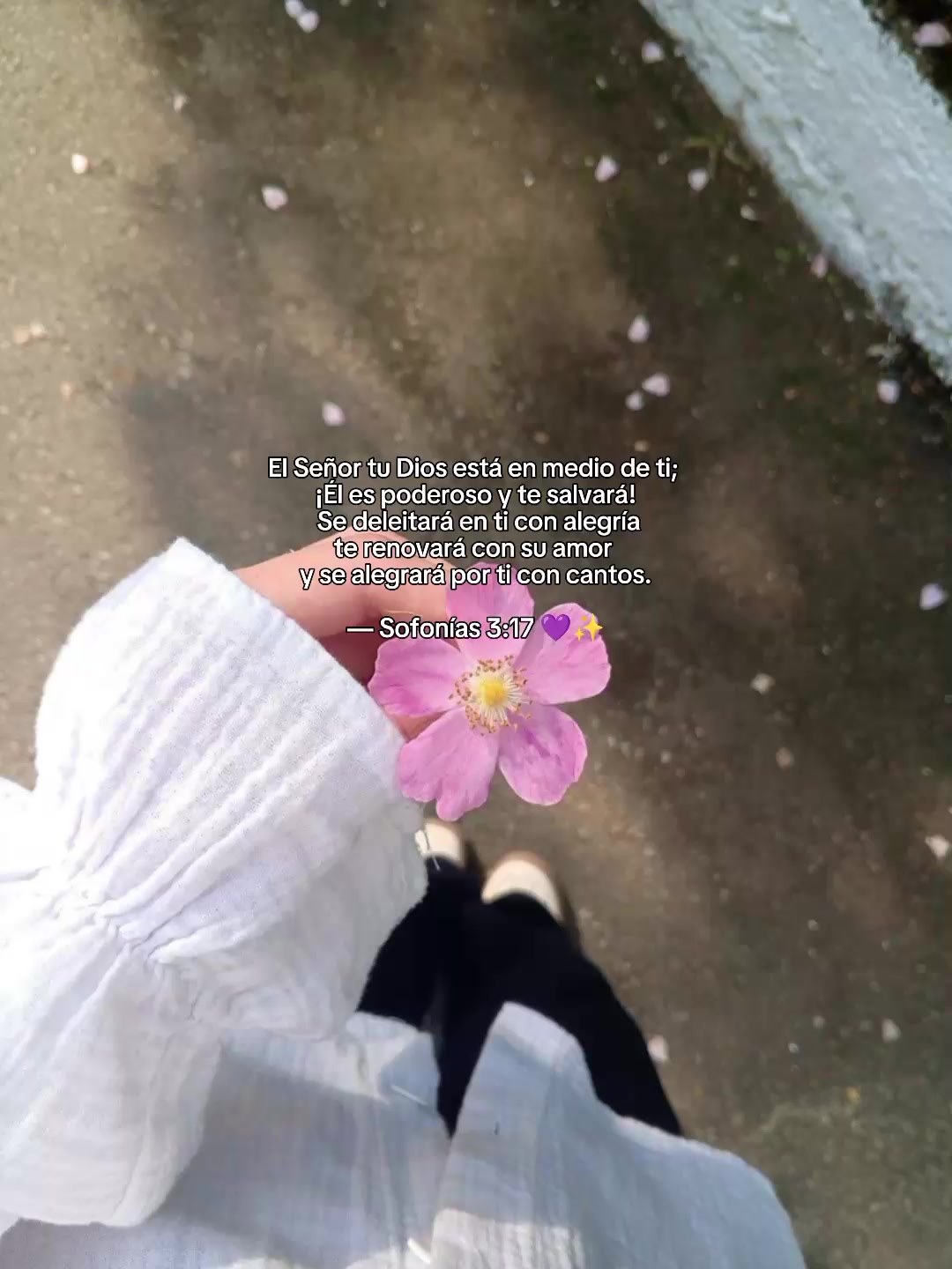 @Joha Gómez 💜