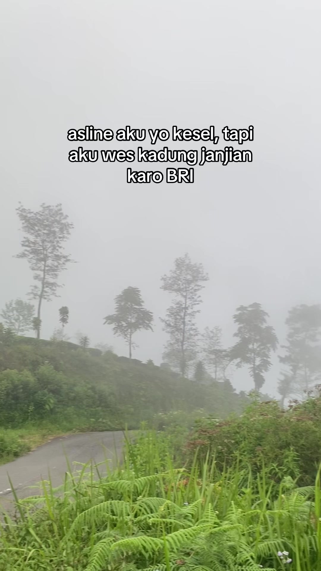 @Anak Ruju