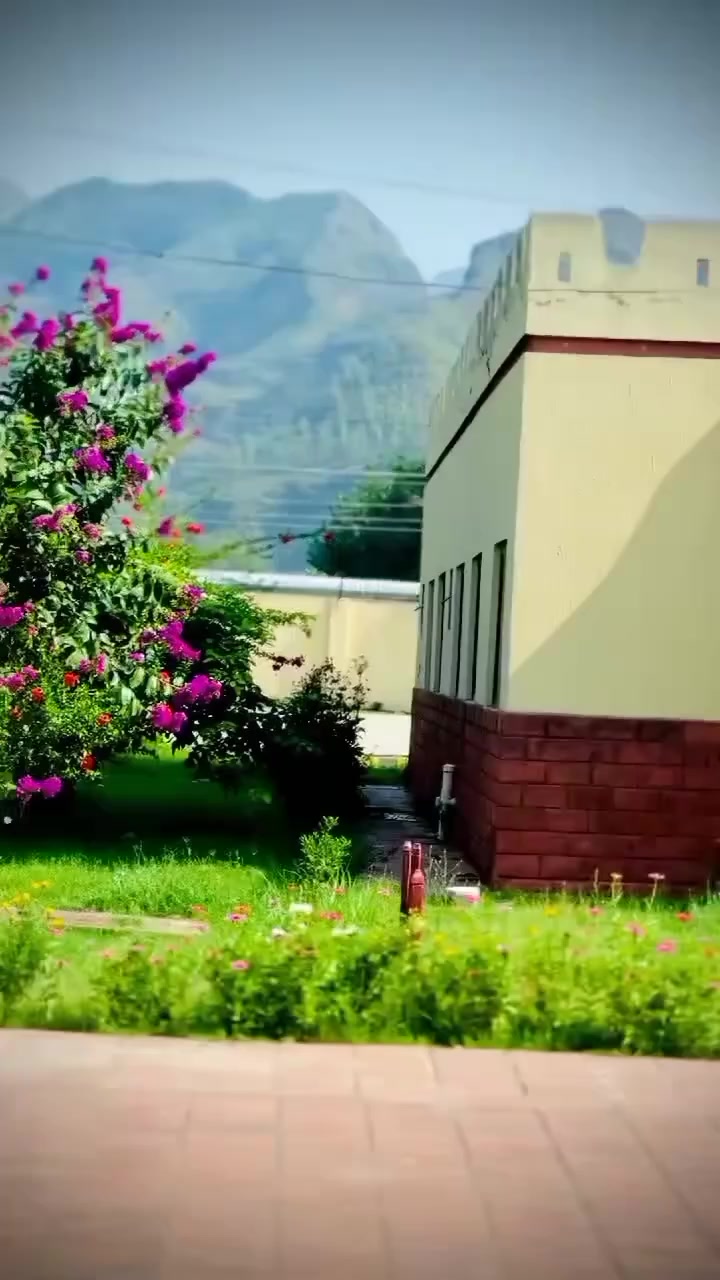 @Naikamalshah