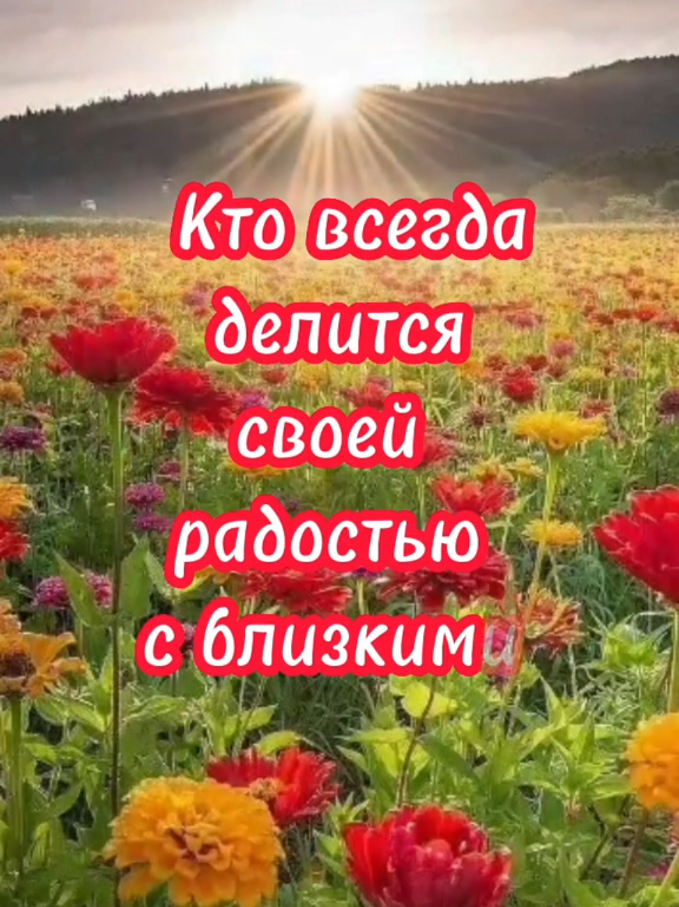 @ИРИНА