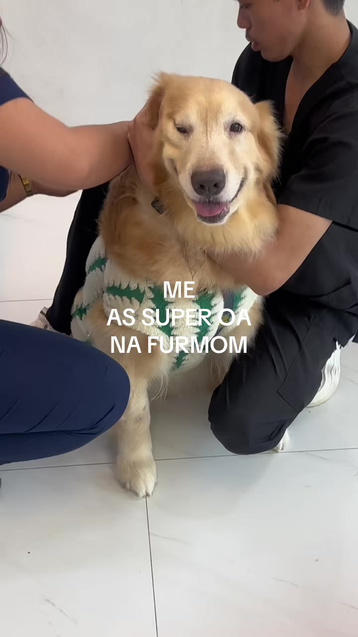 @aljerienianne