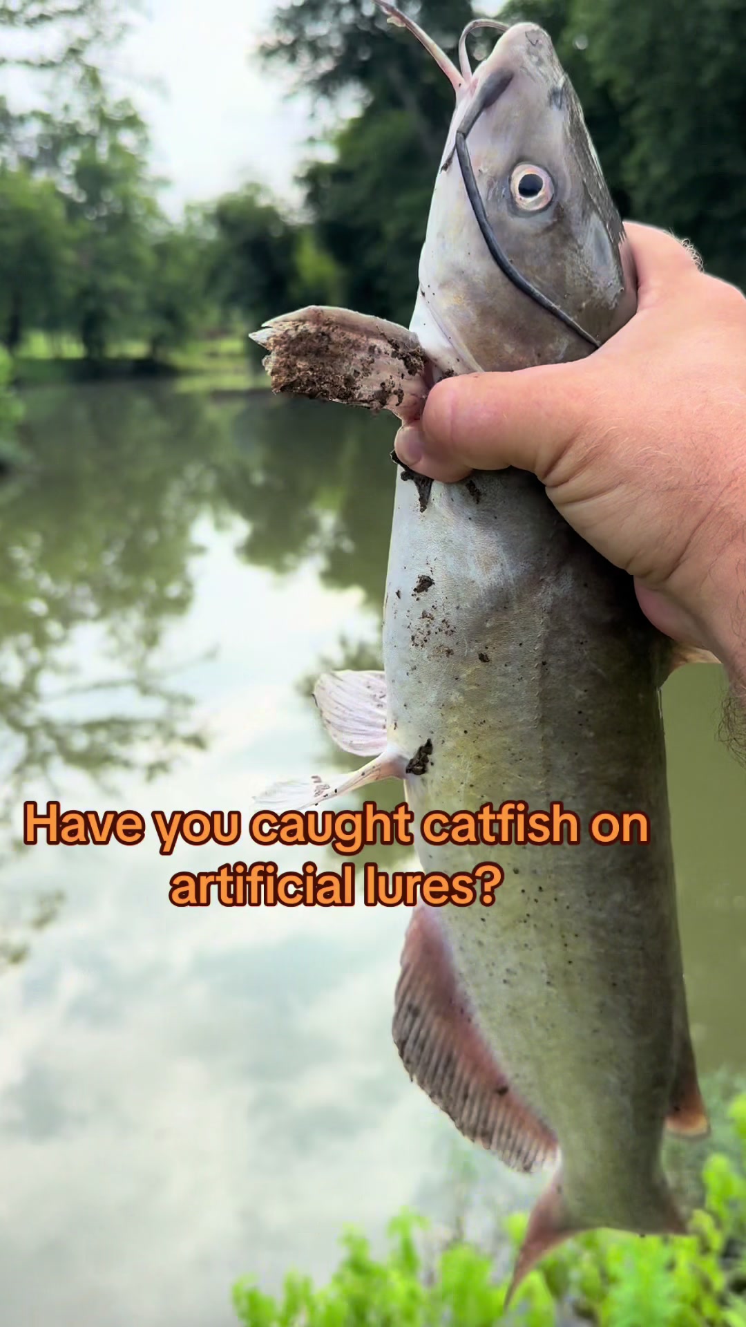 @Kentucky Fishing