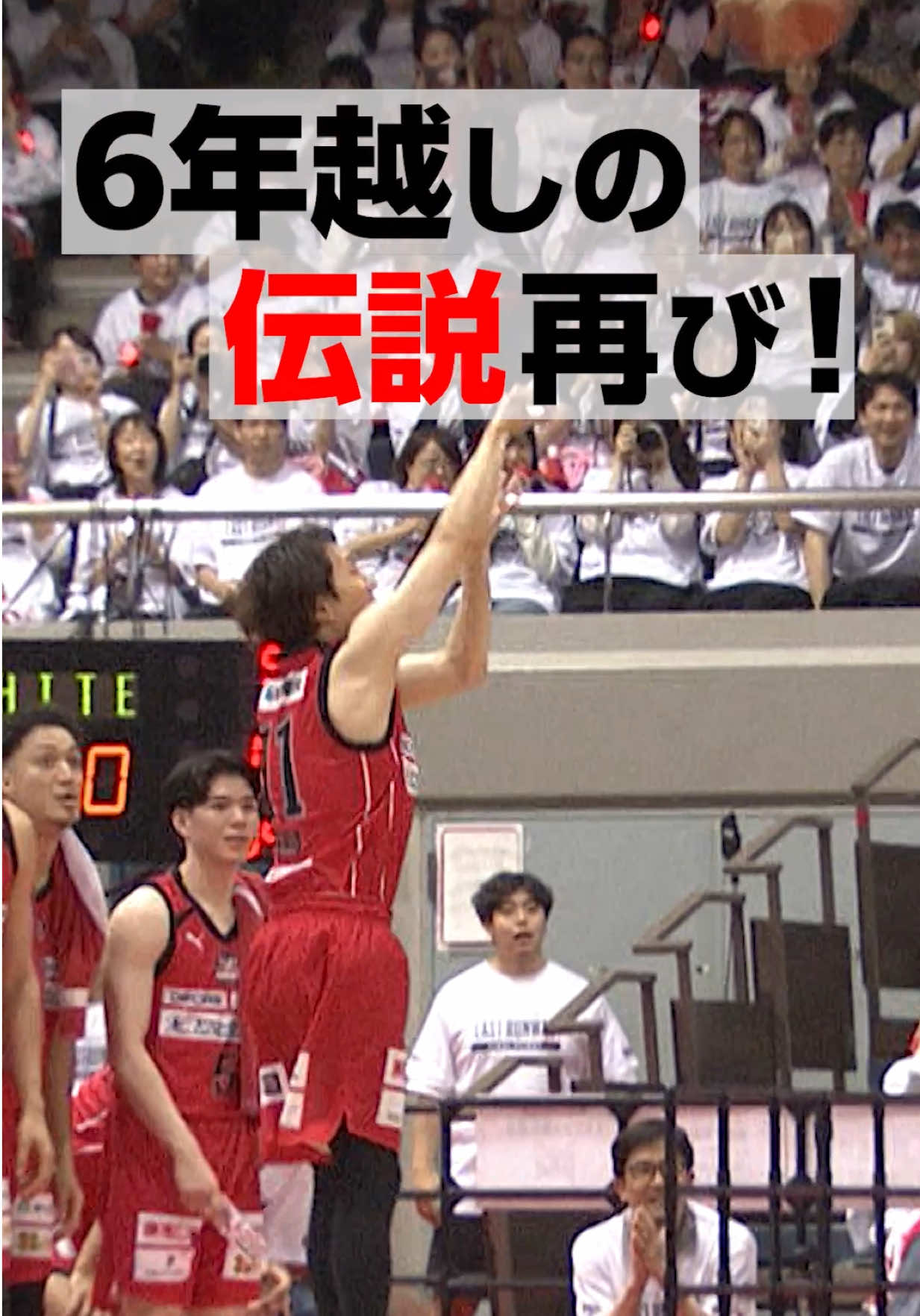 @千葉ジェッツ