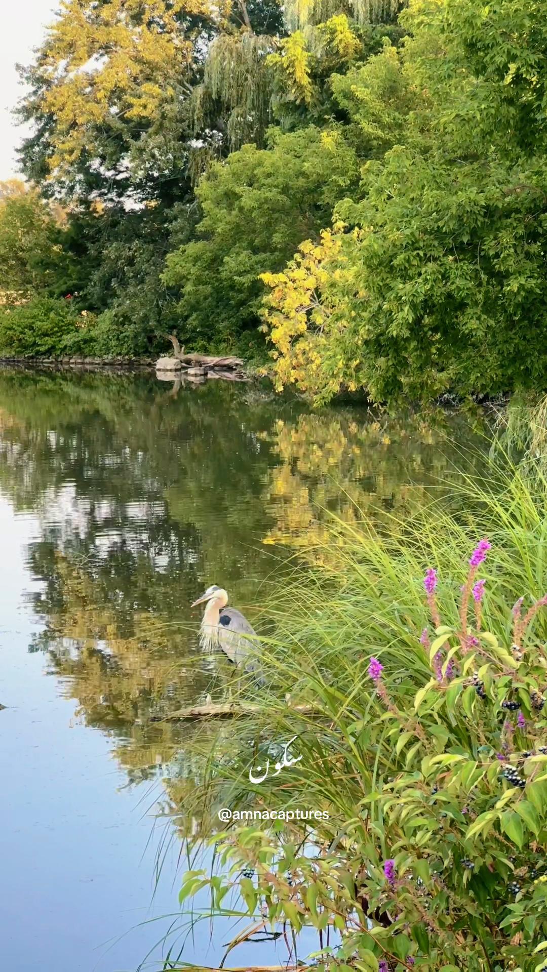 @Nature lover 🇨🇦