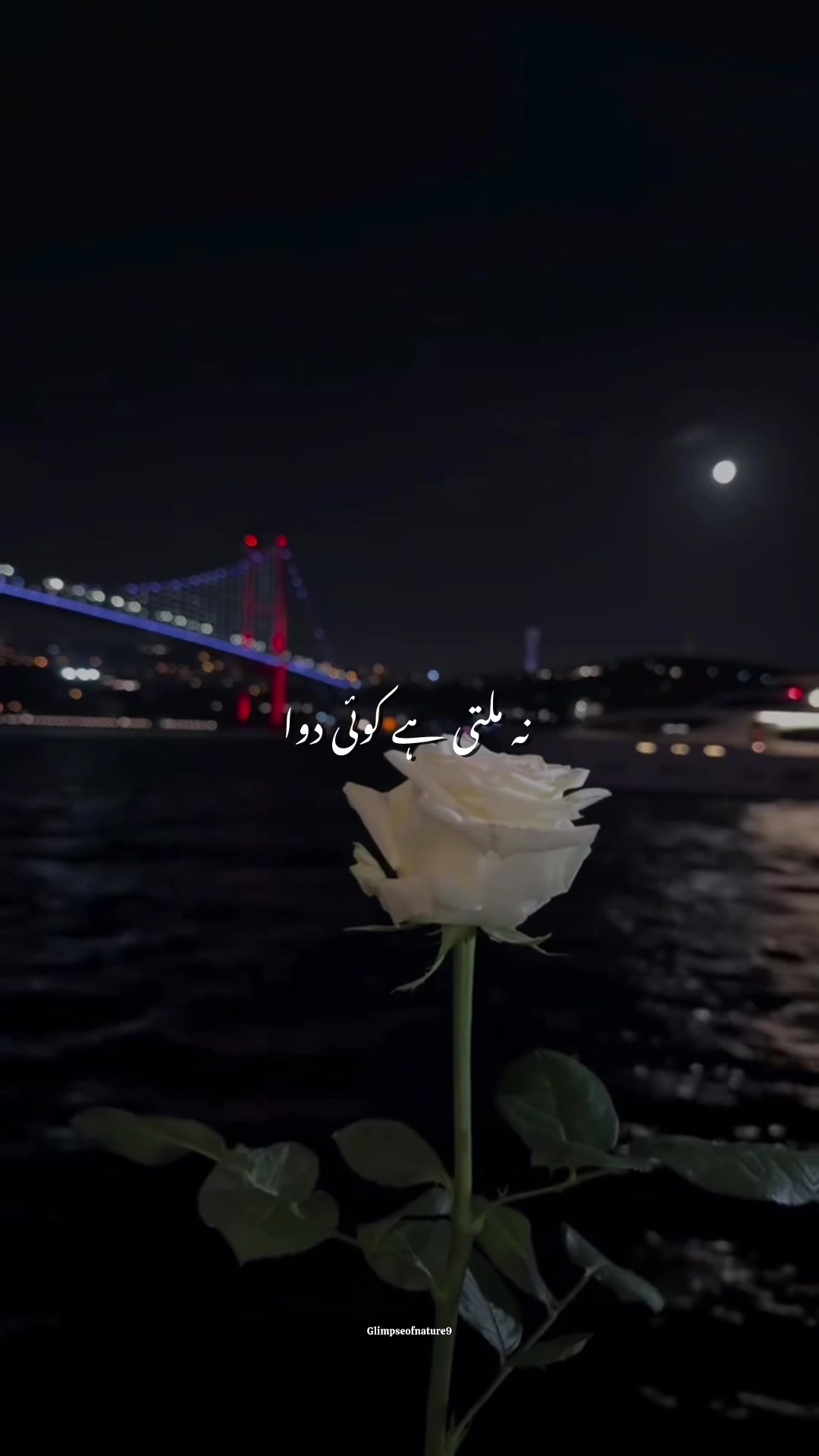 @Amna Mir❥