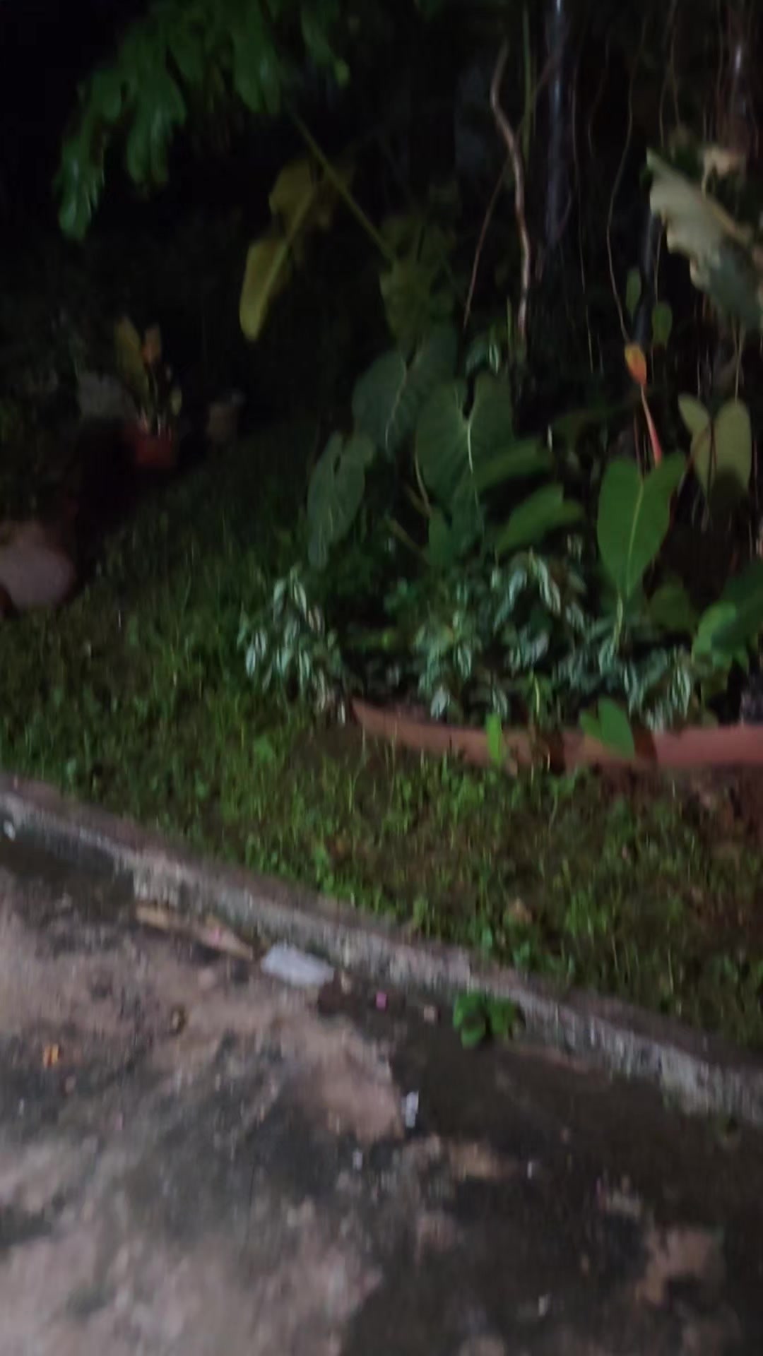 @Kinpanama 🌏