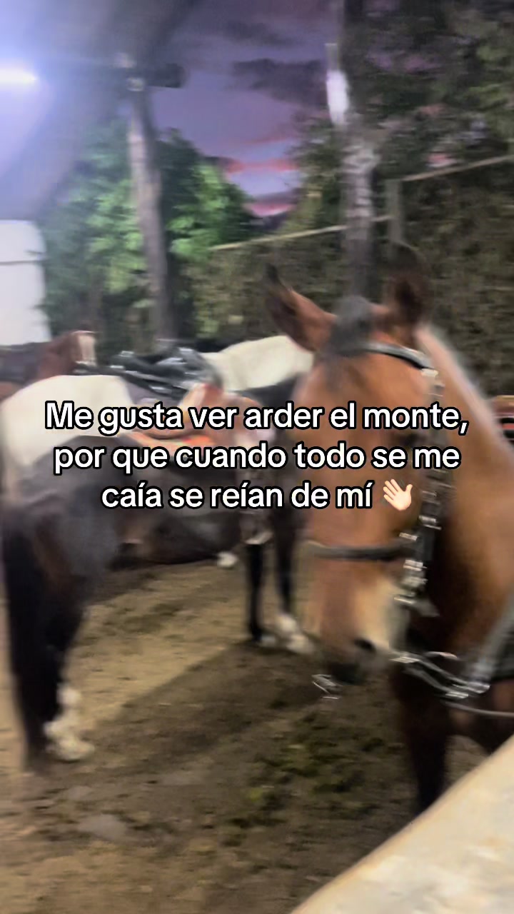 @Juan Rodríguez 🐄