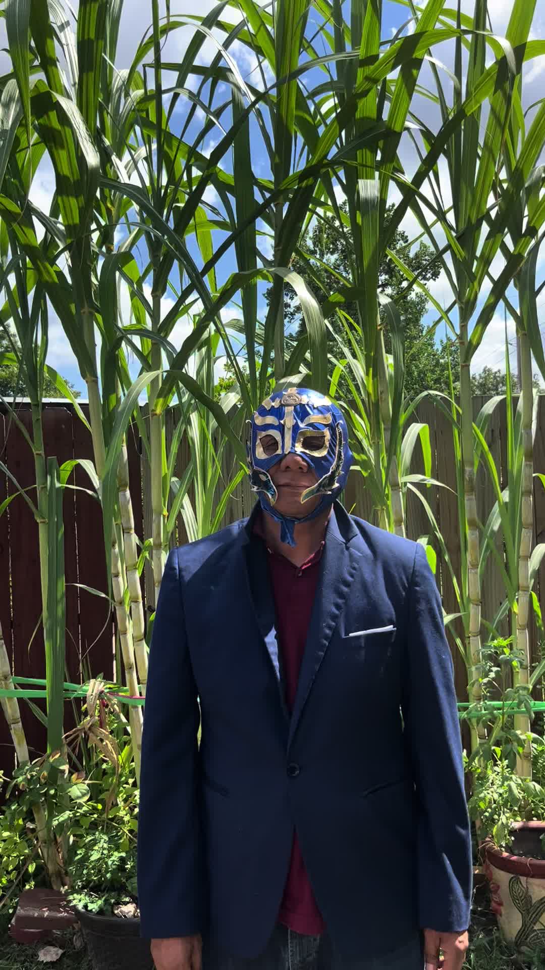@El Guerrerense MX