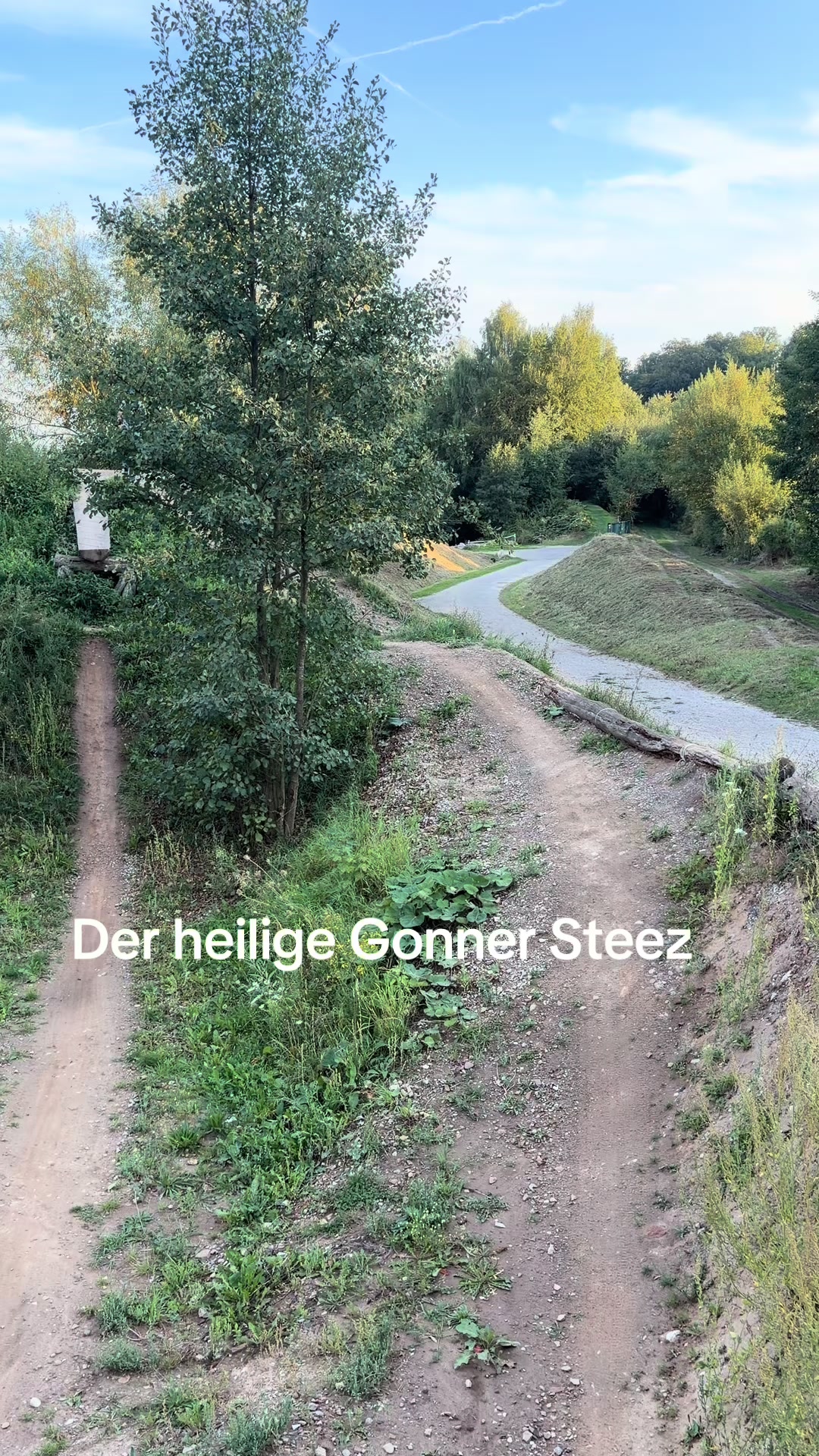 @Julien🇩🇪🍋